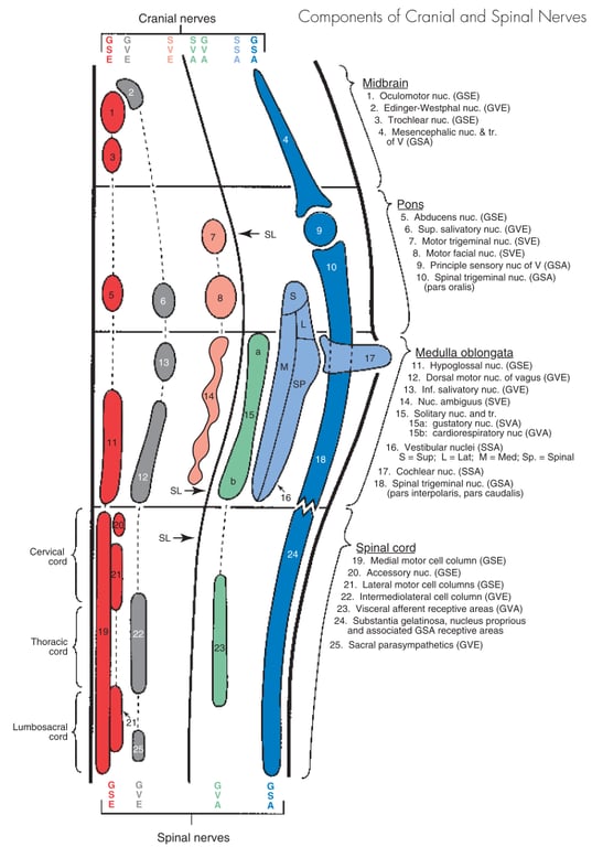 lell'dS ΙΙ (3Λς) (VS9) Λ ρ. uauoduloo puo s. sa.•Jall 