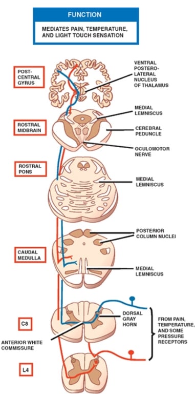 MEDIATES .PAW .TEWERAWRE 