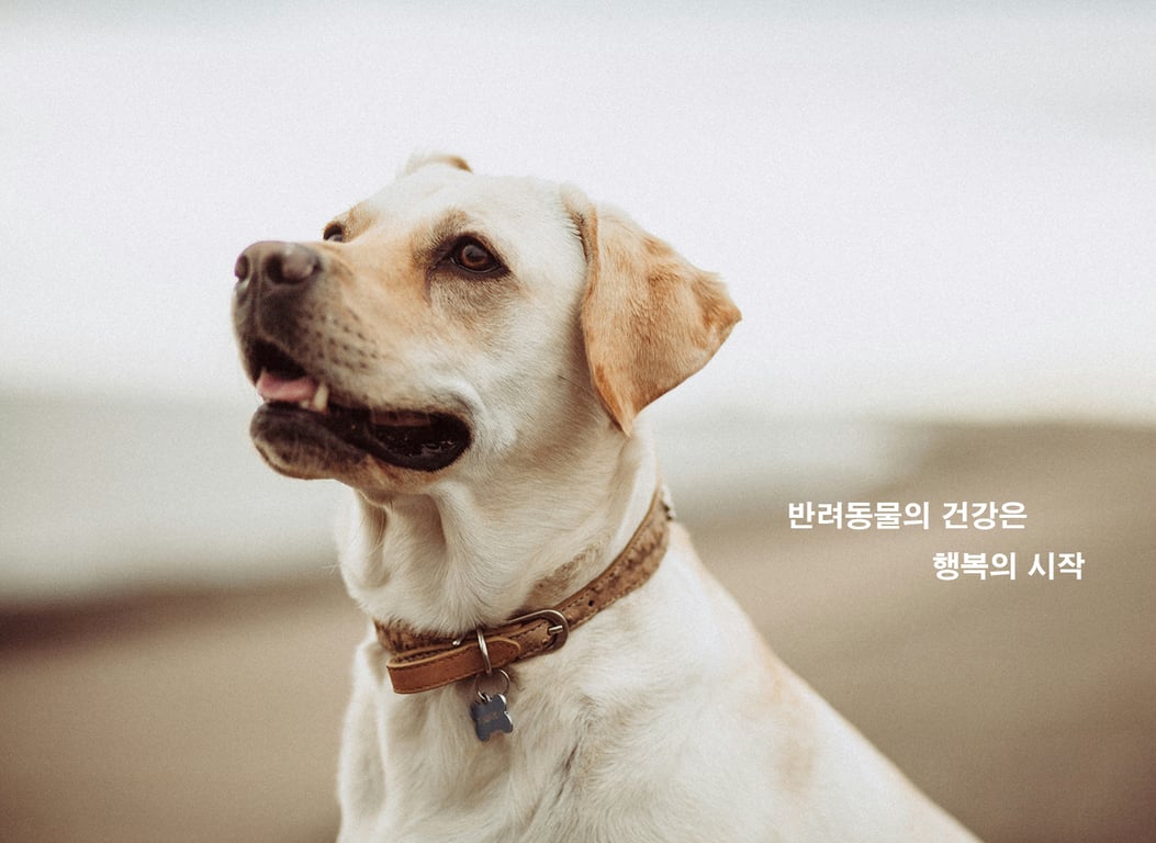 브리즈동물병원