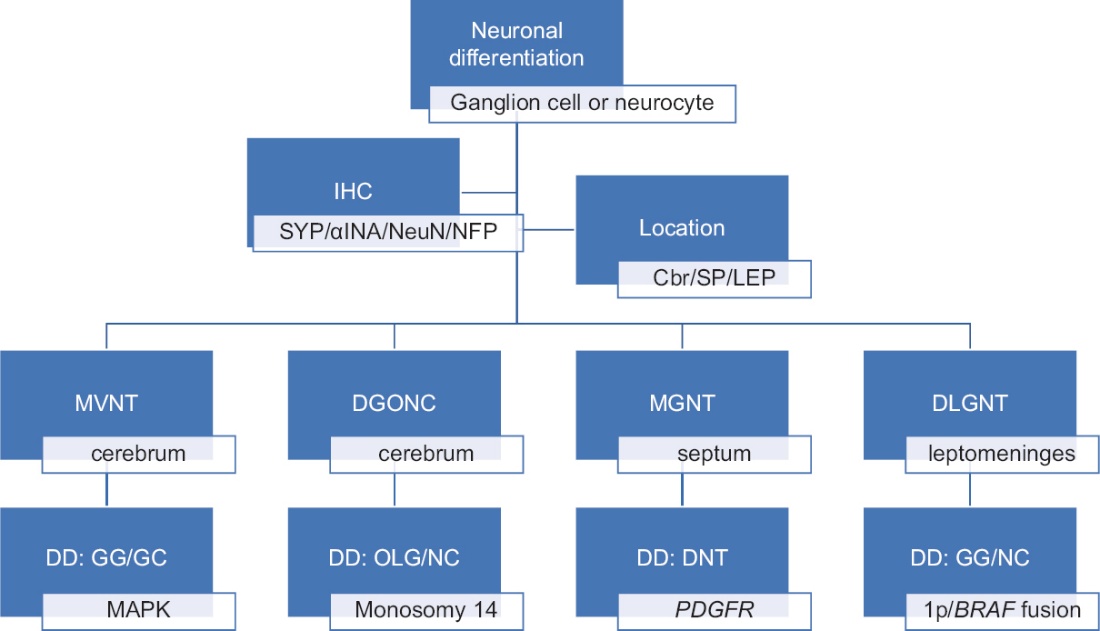 A diagram of a neurology AI-generated content may be incorrect.