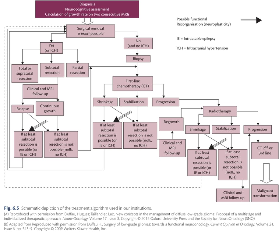 Diagnosis Neurocognitive assessment Calculation of growth rate on two consecutive MRIs Surgical removal a priori possible Total or supratotal resection Yes (Or ICH Subtotal resection Partial resection Clinical and MRI follow-up No (and no ICH) Biopsy First-line chemotherapy (CT) Stabilizatio If at least subtotal Progression Re Possible functional Recorganization (neuroplasticity) IE = Intractable epilepsy ICH = Intracranial hypertension Radiotherapy pse If at least subtotal resection is possible (or IE or ICH Continuous growth If at lea subtotal resection is not possible (nolE, no ICH Shrinkage If at least subtotal resection is possible (or IE or IC resection is not possible (nolE, Clinical a ICH) MRI follow-up rinkage If at least subtotal resection is ible (or bilizatio If atl subtotal resection is not possible (nolE, n ICH) Clinical and MRI follow-up Progressio CT 2nd or 3rd line Malignant transformation Fig. 6.5 Schematic depiction of the treatment algorithm used in our institutions. (A) Reproduced with permission from Duffau, Hugues; Taillandier, Luc, New concepts in the management of diffuse low-grade glioma: Proposal of a multistage and individualized therapeutic approach. Neuro-Oncology, Volume 17, Issue 3. Copyright 0 2015 Oxford University Press and the Society for NeuroOncology (SNO). (B) Adapted from Reproduced with permission from Duffau H., Surgery of low-grade gliomas: towards a functional neurooncology, Current Opinion in Oncology, Volume 21 Issue 6, pp. 543-9. Copyright 0 2009 Walters Kluwer Health, Inc. 