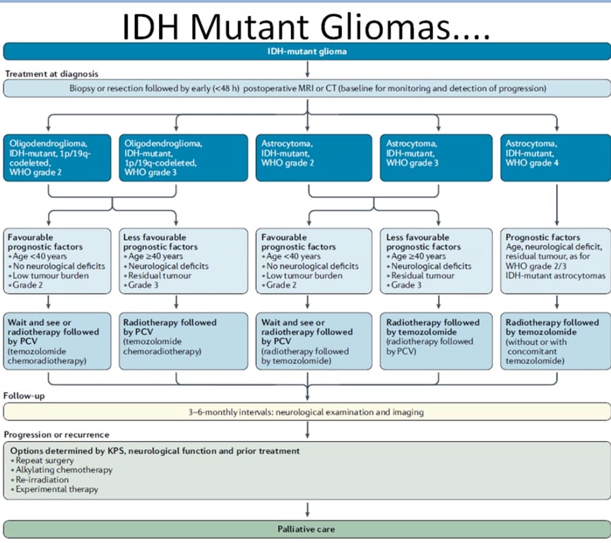 Treatment at di IDH Mutant Gliomas.... glioma Biopsy resection blbwed by early (€48 h) MRI or CT monitomg and det«tion of OH-rrwtant. I p/19q• hted. WHO grade 7 factors • Age 40 • NO • Low turrour •Grade Wait and See by pcv Follow- up Less • 240 by pcv Astrxytonu. I DH-mutant. MIO gr. & 2 ostic • NO • Low t unour burden Wait and o r by pcv by temozobm&) 3-6-monthly neurobgical OH-rmjtant. grxie 3 Less • 240 • Neurological • turnour followed by by PCV) IDH-mutant. WHO gr. & 4 prognostic f residual tu"our. as for WHO grade IDE' •mutant astr«ytomas rap y followed by with C it ant Von s determined by KPS. neurological function md prior treatment • Re-irradiation cue 