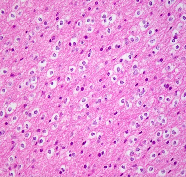 A close-up of a cell AI-generated content may be incorrect.