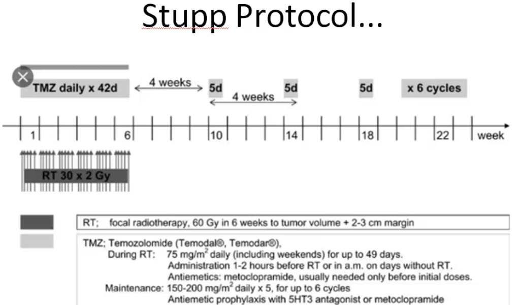TMZ daily x 42d Stupp Protocol... 4 weeks 18 x 6 cycles 22 6 RI: focal 10 14 week . 60 in 6 weeks to turru volurne • 2-3 cm TMZ: (Termdn Duri')g RT: 75 rnwmz daily (including weekends) up to 49 1-2 hours RT in a.m. days witlWt RT. usuany need«l bem naial doses. Maintenmce: 150-200 nurn2 dady x 5. for up to 6 cycles w•th 5HT3 