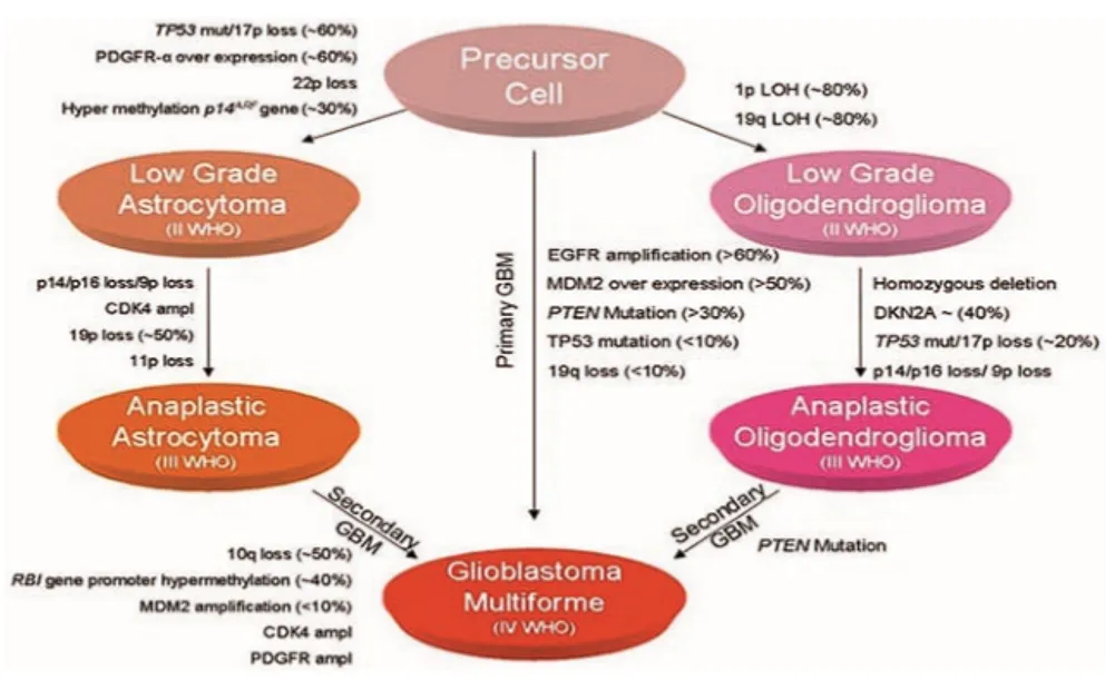 A diagram of a cell AI-generated content may be incorrect.