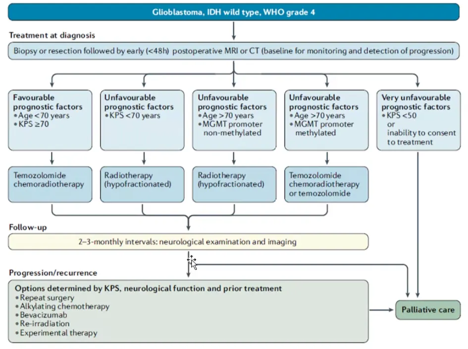 Gljoblastoma, I DH Wildtype Gliobtastoma, wild tWe. WHO gra& 4 Treatment at diagnosis Biopsy or resection followed by early (<48h) postoperative MRI or CT (baseline for rmnitoring and detection of progression) prognostic factors • Age < JO years .KPS270 Temozobm ide chemoradiotherapy Follow- up U nfa a prognostic factors •KPS years Radiotherapy (hypofractionated) Unfa vou ra prognostic factors • Age > 10 years •MGMT promoter non • met d Rad rapy Oxypofractionated) prognostic factors • Age years • MGMT promoter t hylated Termzolomide apy or ternozolornZ e htervals: neurobqical examination pro gress ion/ urrence Options determined by KPS. iCal function and prior treatment • Repeat surgery • Alkylat ing • Bevacizurnab • Re irradia tion • Experirnem al therapy u nfavourable • KPS inability to conent to treatn*nt altiative ca 