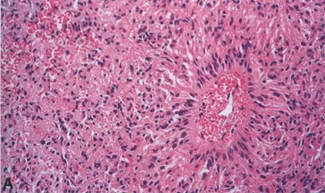 A close-up of a microscope AI-generated content may be incorrect.