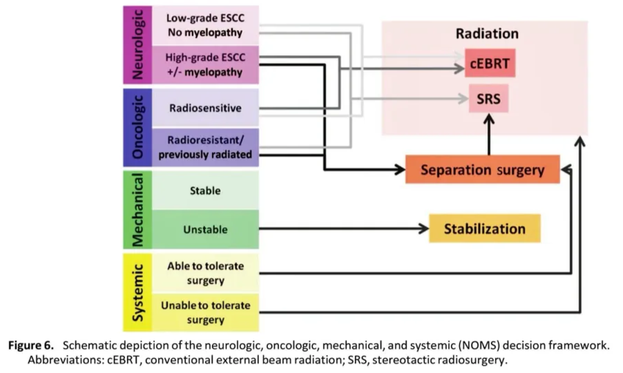 750 Table 3. Current NOMS decision framework Treatment of Spinal Metastatic Tumors Neurologic Oncologic Low-grade ESCC + no myelopathy Radiosensitive High-grade ESCC ± myelopathy Radiosensitive Radioresistant Radioresistant Radiosensitive Radiosensitive Radioresistant Radioresistant Radioresistant Radioresistant Mechanical Stable Unstable Stable Unstable Stable Unstable Stable Stable Unstable Unstable Systemic Able to tolerate surgery Unable to tolerate surgery Able to tolerate surgery Unable to tolerate surgery Decision cEBRT Stabilization followed by cEBRT SRS Stabilization followed by SRS cEBRT Stabilization followed by cEBRT Decompression/stabilization followed by SRS cEBRT Decompression/stabilization followed by SRS Stabilization followed by cEBRT Low-grade ESCC is defined as grade O or 1 on Spine Oncology Study Group scoring system [5]. High-grade ESCC is defined as grade 2 or 3 on the ESCC scale [5]. Stabilization options include percutaneous cement augmentation, percutaneous pedicle screw instrumentation, and open instrumentation. For patients with significant systemic comorbidities that affect the ability to tolerate open surgery, stabilization may be limited to cement augmentation and/or percutaneous screw augmentation. Abbreviations: cEBRT, conventional external beam radiation; ESCC, epidural spinal cord compression; NOMS, neurologic, oncologic, mechanical, and systemic; SRS, stereotactic radiosurgery. O o o o O u Low-grade ESCC No myelopathy High-grade ESCC +/- myelopathy Radiosensitive Radioresistant/ previously radiated Stable Unstable Able to tolerate surgery Unable to tolerate surgery Radiation cEBRT SRS Separation surgery Stabilization Figure 6. Schematic depiction of the neurologic, oncologic, mechanical, and systemic (NOMS) decision framework. Abbreviations: cEBRT, conventional external beam radiation; SRS, stereotactic radiosurgery. 