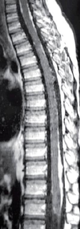 Close-up of a cross section AI-generated content may be incorrect.