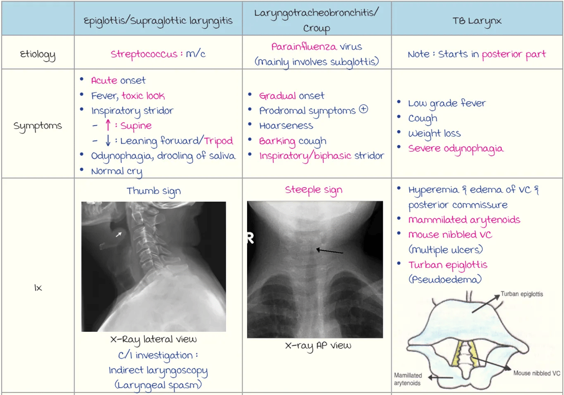 Turban epiglottis