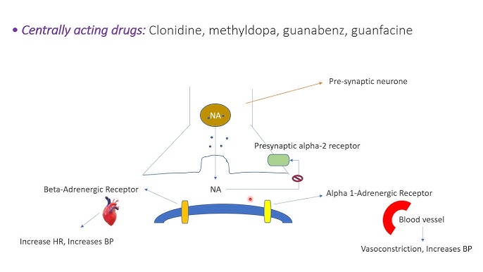 Clonidine - Mechanism of Action - YouTube