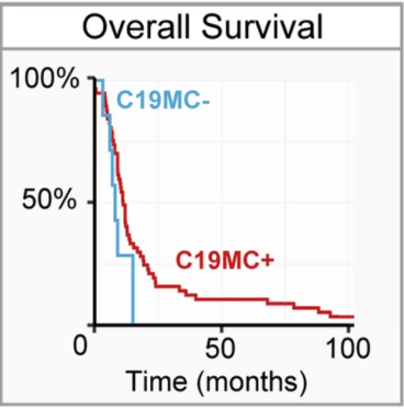 Overall Survival 100% C19MC- 50% Cl 9MC+ 50 Time (months) 100 