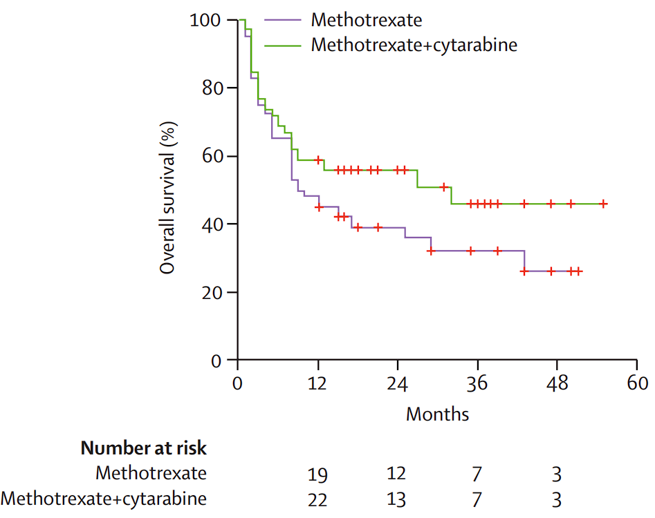 100 80 60 40 20 Number at risk Methotrexate Methotrexate+cytarabine Methotrexate Methotrexate+cytarabine 12 19 22 36 24 Months 12 13 48 60 