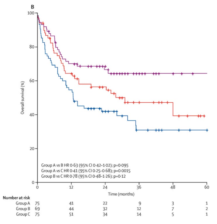 100 at risk Group А Group В GroupC 75 69 75 GroupA 0-63 (95% р.о.095 C,roupA HR 0-41 (95% 025-068); р.о.0015 Grovp В vs с не 078 (95% а 048-1,26): р-012 Time (months) 22 14 