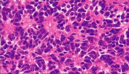 «به.د: ترة ي ي: وو و مني ى a . د 