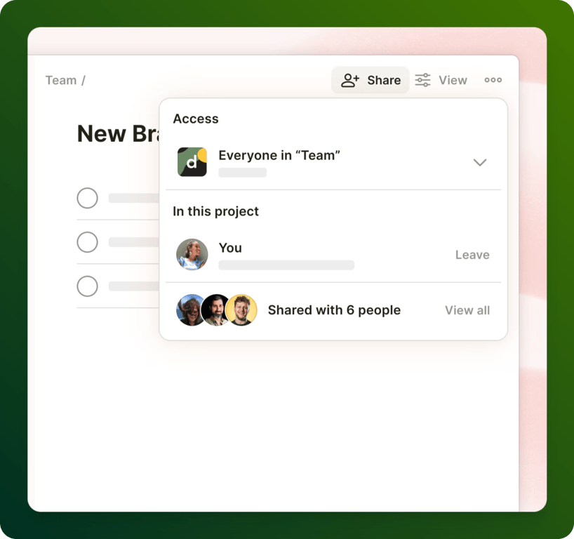 Todoist Team Collaboration
