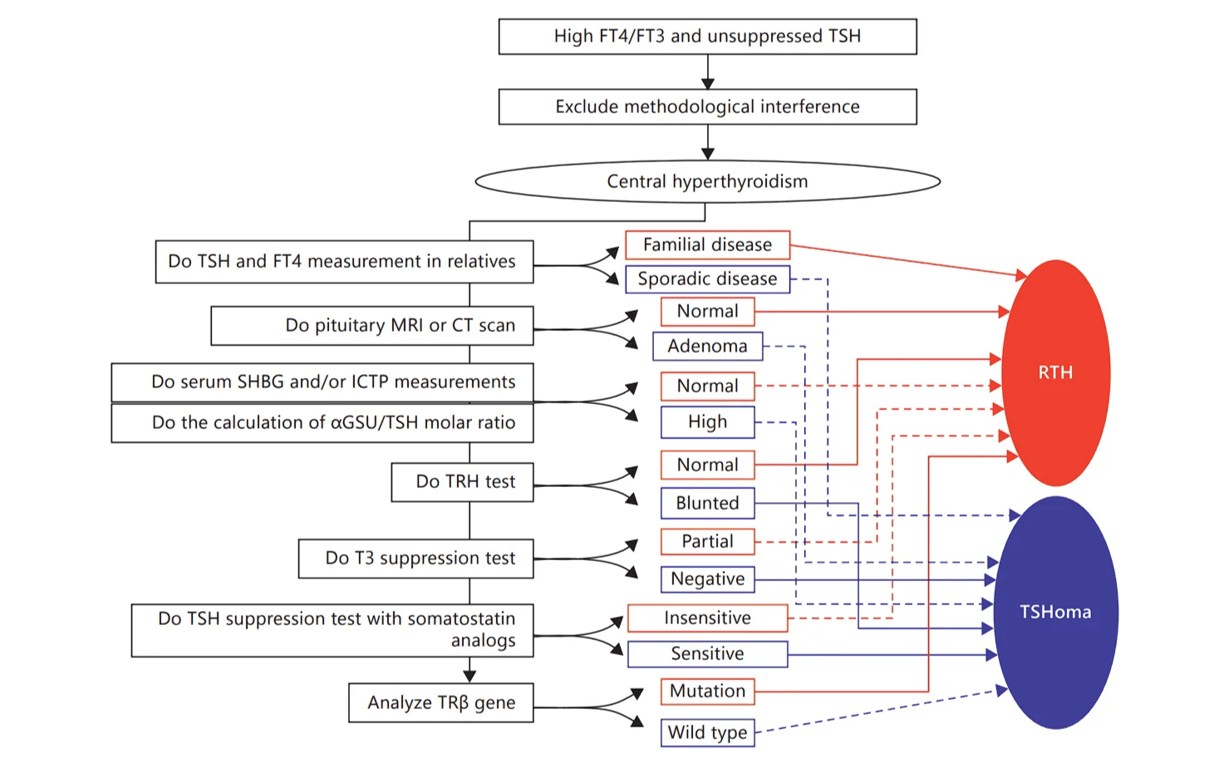 A diagram of a medical procedure AI-generated content may be incorrect.
