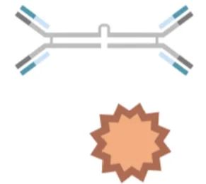 Donor plasma proteins, including IgA