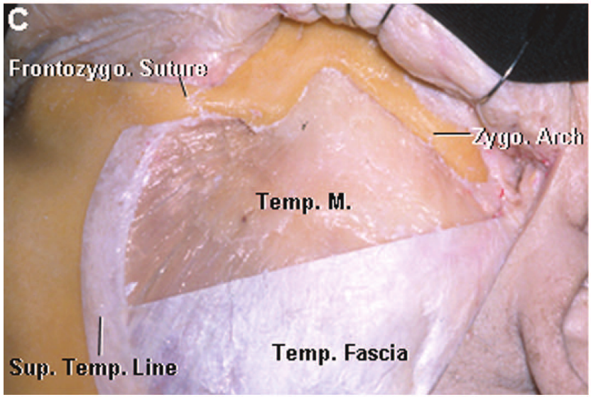 eun •dtuał 'dn ełosed •dtuał •dtueł 