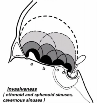 A screenshot of a computer AI-generated content may be incorrect.