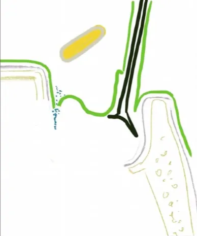 A screenshot of a computer AI-generated content may be incorrect.