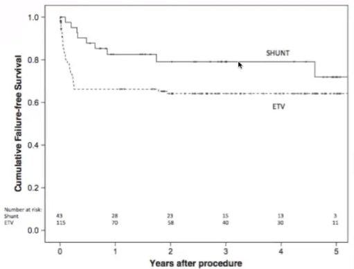 International Infant Hydrocephalus Study (IIHS) 1-0 SHUNT 0.8 0.6 0.4 02 0.0 Years after procedure FW 2 Kapun-Meia suvival canes One-to-fimt ETV md shÄ 