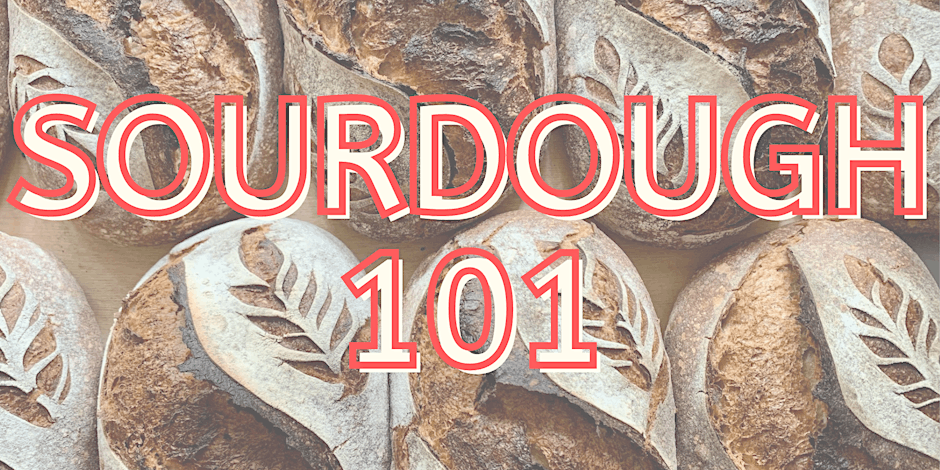Sourdough 101