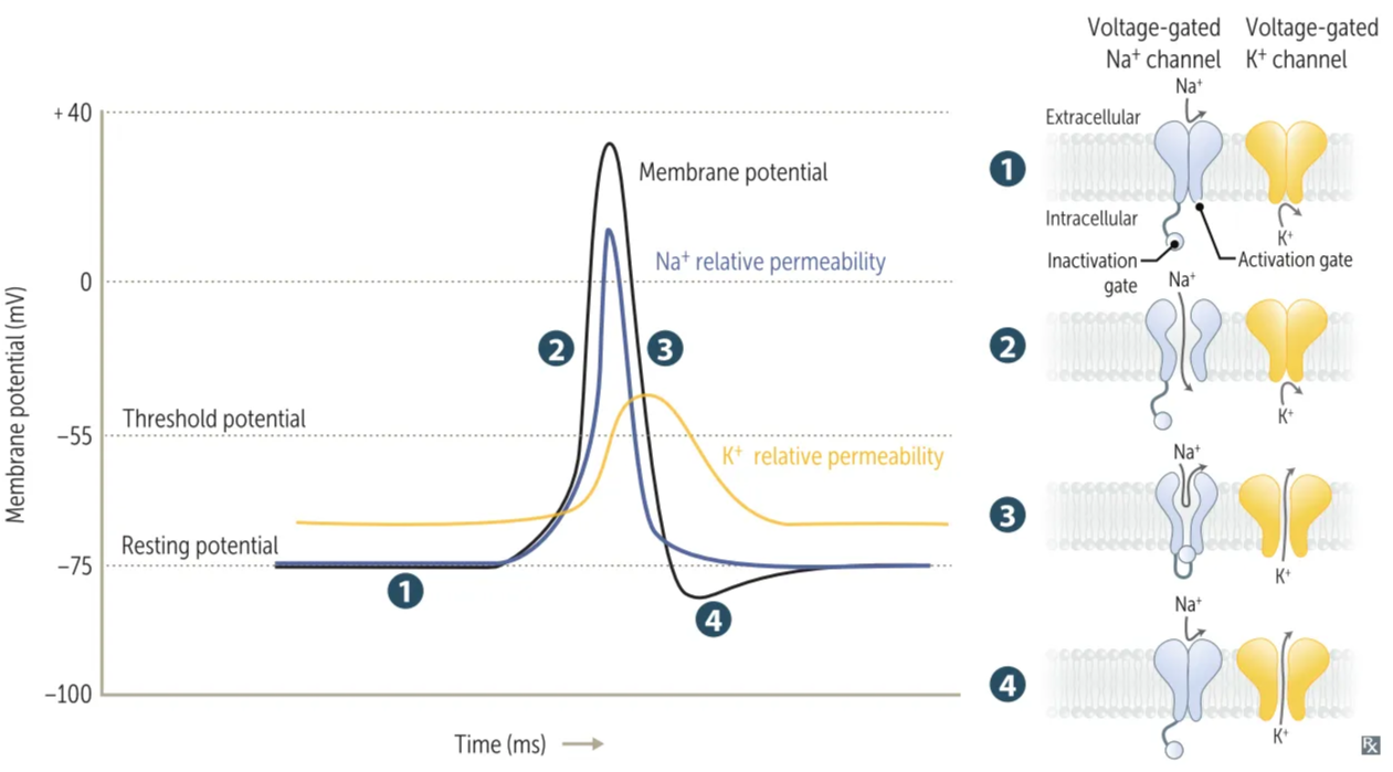 A screenshot of a computer AI-generated content may be incorrect.