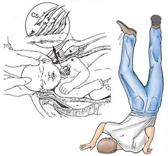 No photo description available.