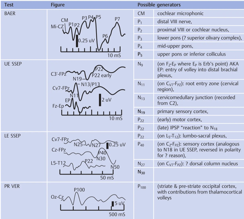 Table 14.4 Test BAER UE SSEP LE SSEP PR VER Evoked potential waveforms (note: values may differ from lab to lab) Figure CM Mi-CZ PI P2 0.25 uv Possible generators C3'-FPz 10 ms 2 P22 early N19 -N13/P1 Cv7-FPz Fz-Ep Cv7-FPz N25- 10 ms N2 10.25 uv Cz-FPz L5-T12 Oz-Cz 22 CM N 19 P22 P40 N27 N30 PI 00 4 30 N50 50 ms 500 ms cochlear microphonic distal VIII nerve, proximal VIII or cochlear nucleus, lower pons (? superior Olivary complex), mid-upper pons, upper pons or inferior colliculus (on FrEp where Ep is Erb's point) AKA EP: entry of volley into distal brachial plexus, (on Cw-Fpz): root entry zone (cervical region), cervicomedullary junction (recorded from C2), primary sensory cortex, (early) motor cortex, (late) IPSP "reaction" to N18 (on L5-T12): lumbo-sacral plexus, (on CrFpz): sensory cortex (analogous to N18 in UE SSEP, reversed in polarity for ? reason), (on Cw-Fpz): ? dorsal column nucleus (striate & pre-striate occipital cortex, with contributions from thalamocortical volleys 