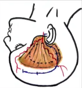 A diagram of a person's body AI-generated content may be incorrect.