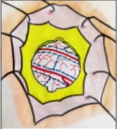 A close-up of a drawing AI-generated content may be incorrect.