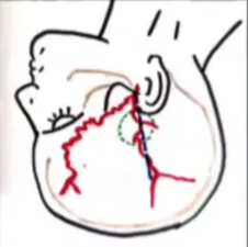 A close-up of a drawing AI-generated content may be incorrect.