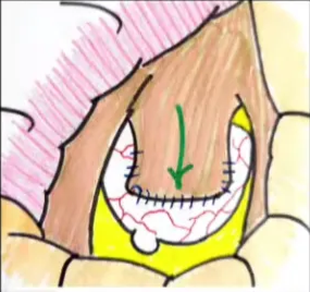 A diagram of a human body AI-generated content may be incorrect.