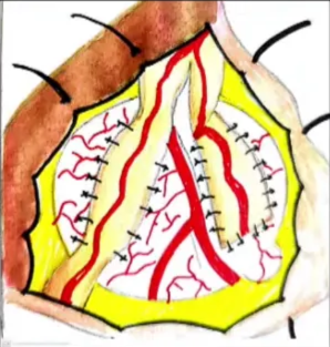 A close-up of a diagram AI-generated content may be incorrect.