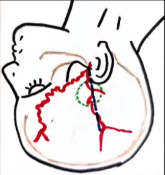 A diagram of a human body AI-generated content may be incorrect.