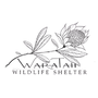 notion image