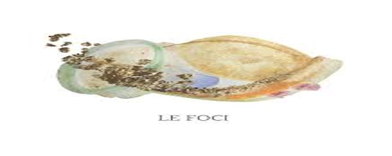 Le Foci