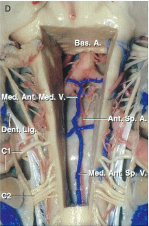 Вад. А. пеп i 