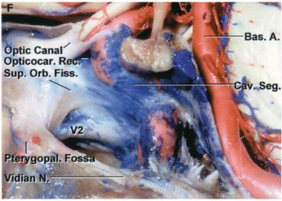 ومs @060• Jeooondo. - . 