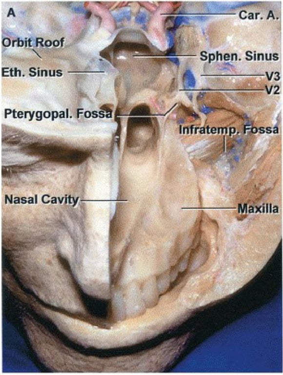 ellłxgĺ snuys •uaqds V •aeo łeseN • łed06Á.ła1d snu!S J008 