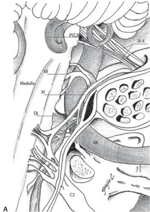 A diagram of the human body AI-generated content may be incorrect.