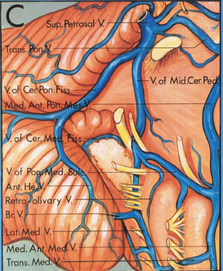 V of Mid.Cer.Pe ed.A . 