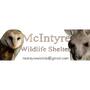 notion image