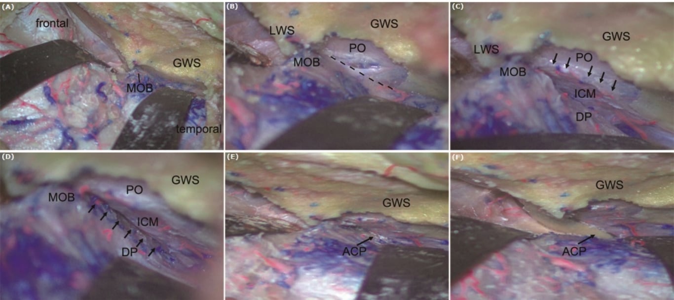 GWS GWS 't.ÂoB. GWS GWS (0) GWS po łcM.. 