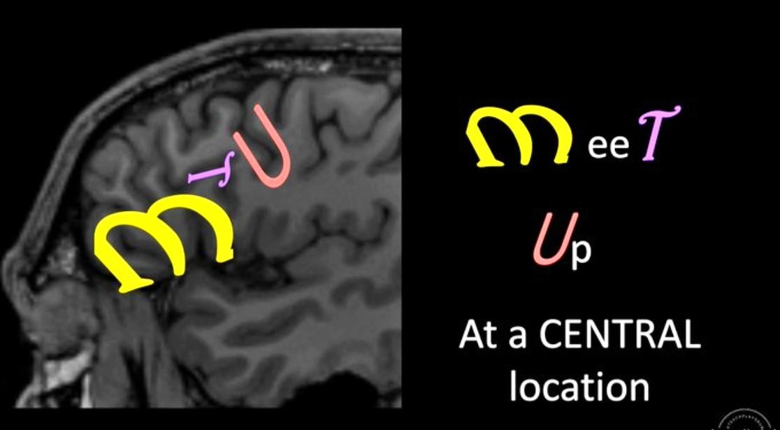 At a CENTRAL location 