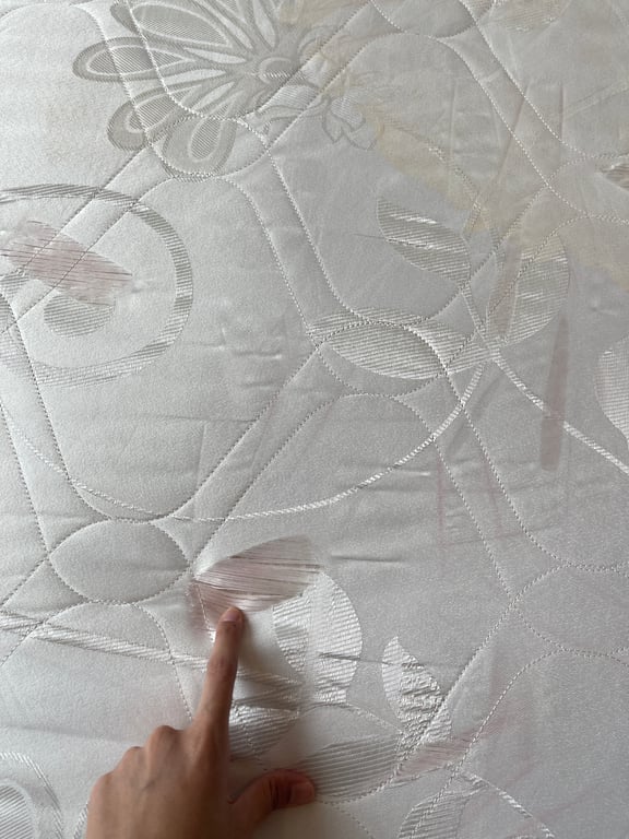 notion image