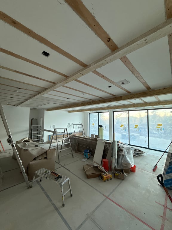 Lower level rec room