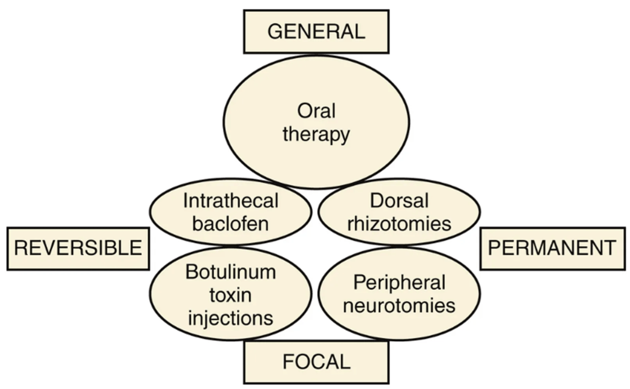 Management is based on whether excess of spasticity is focal or general and permanent or temporary.