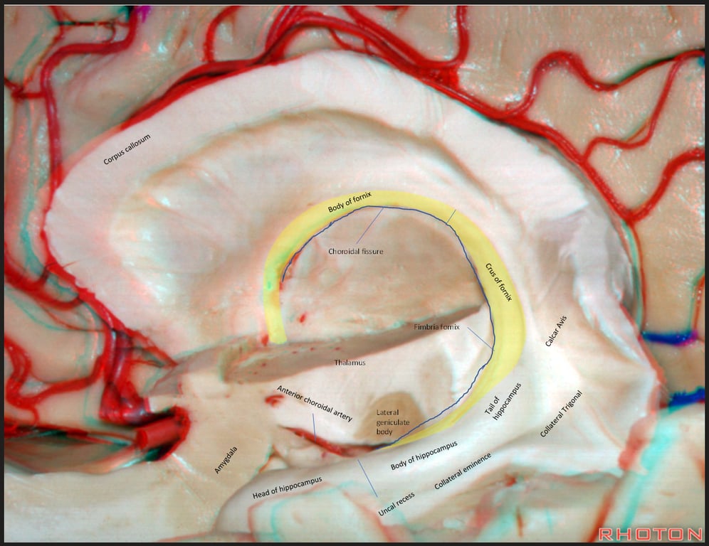 N 圁 』 」 | n 〕 Ⅲ n55 | 2 P! 0 」 0 